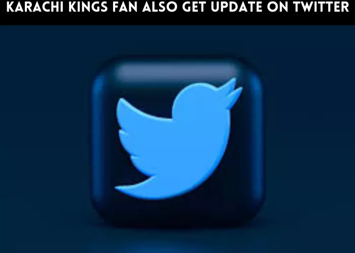 Karachi kings fans also get update on twitter
