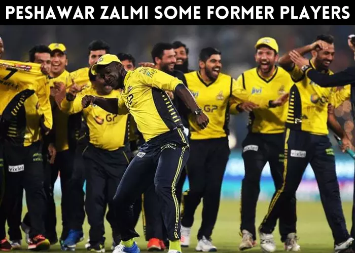 Peshawar zalmi some former players